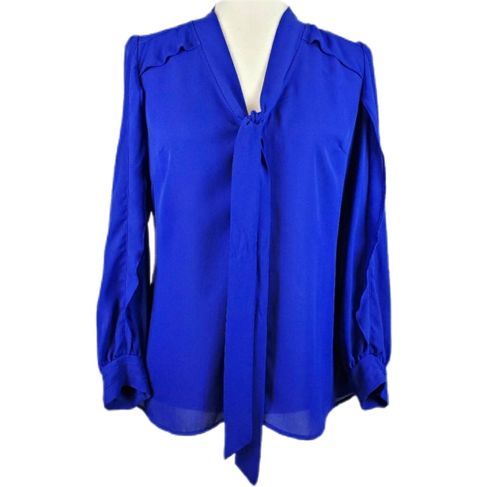 Greylin blue button down blouse small